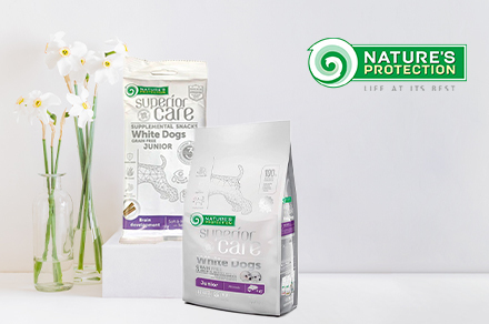 abgesonderte befriedigung wird geltend gemacht ja oder nein Ritex Hydro sensitiv Gel – Gleitgel Wasserbasis natürlich 2 x 50 ml,  Massage & Gleitmittel frei von Konservierungs-, Duft- und Farbstoffen –  kondomgeeignet, dermatologisch getestet, Made in Germany : Amazon.de:  Drogerie & Körperpflege