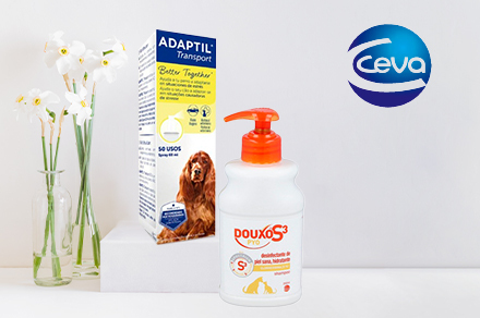 Naturals extra sensitives Gleitgel für den Intimbereich 100 ml Gel Durex  kaufen