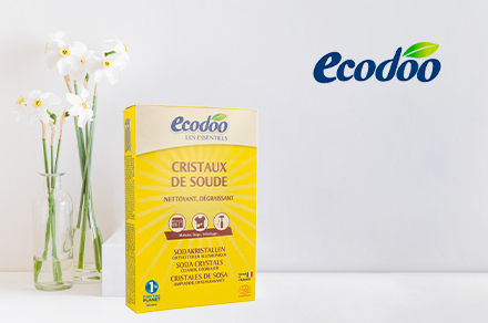 Ecodoo